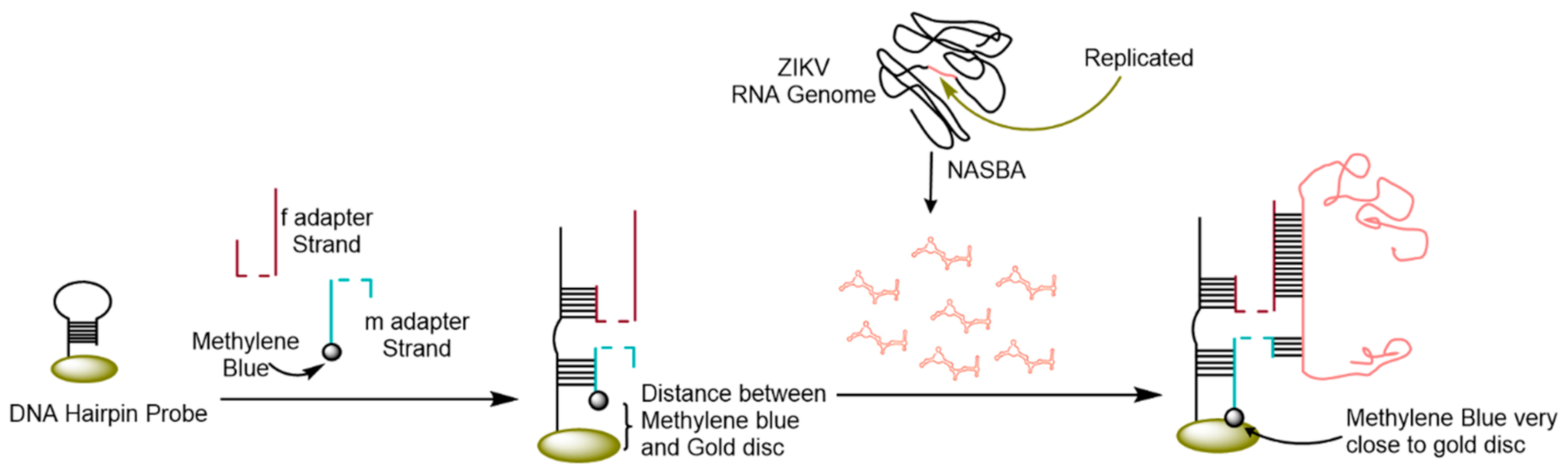 Micromachines 12 00174 g007