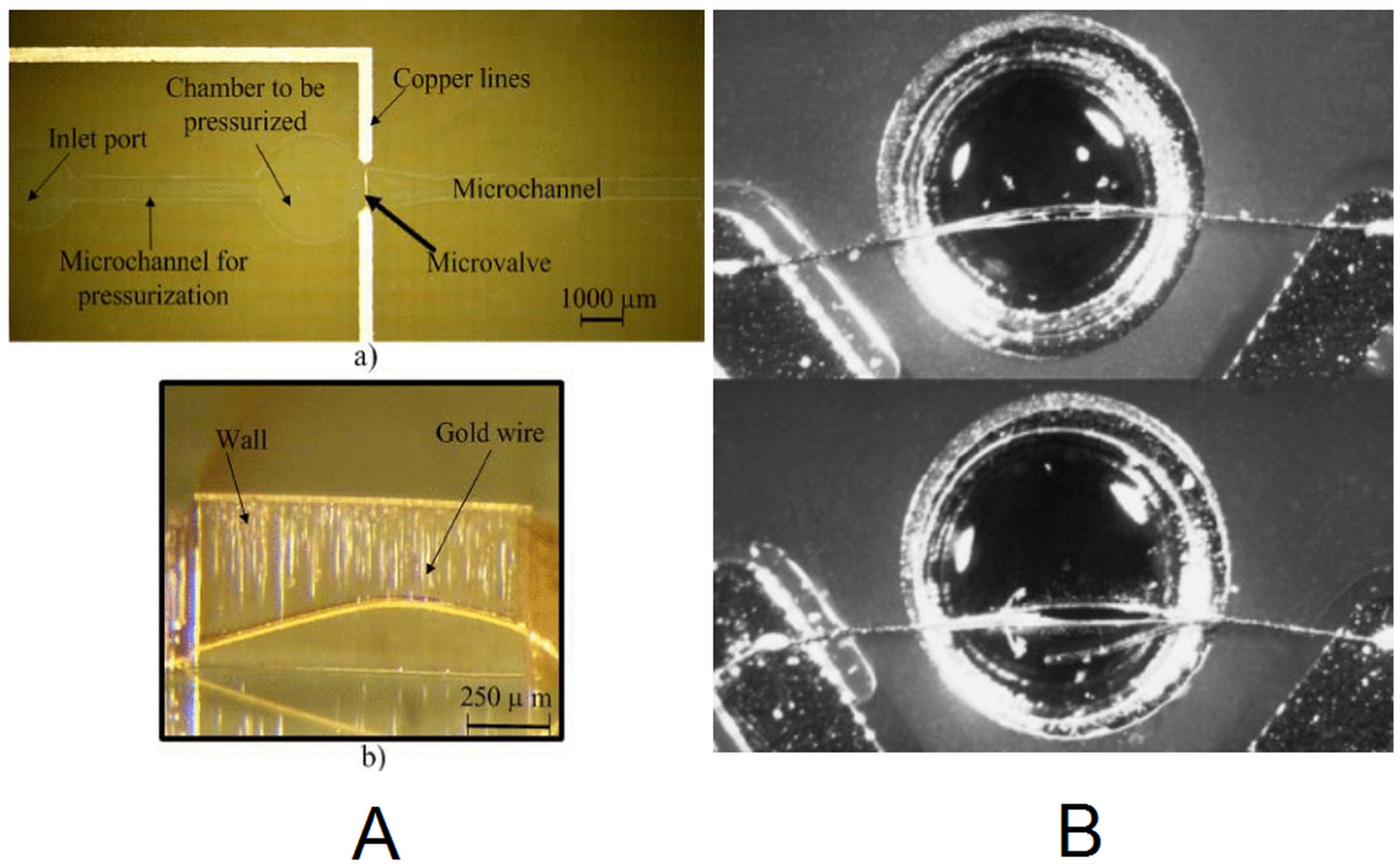 Micromachines 12 00175 g005