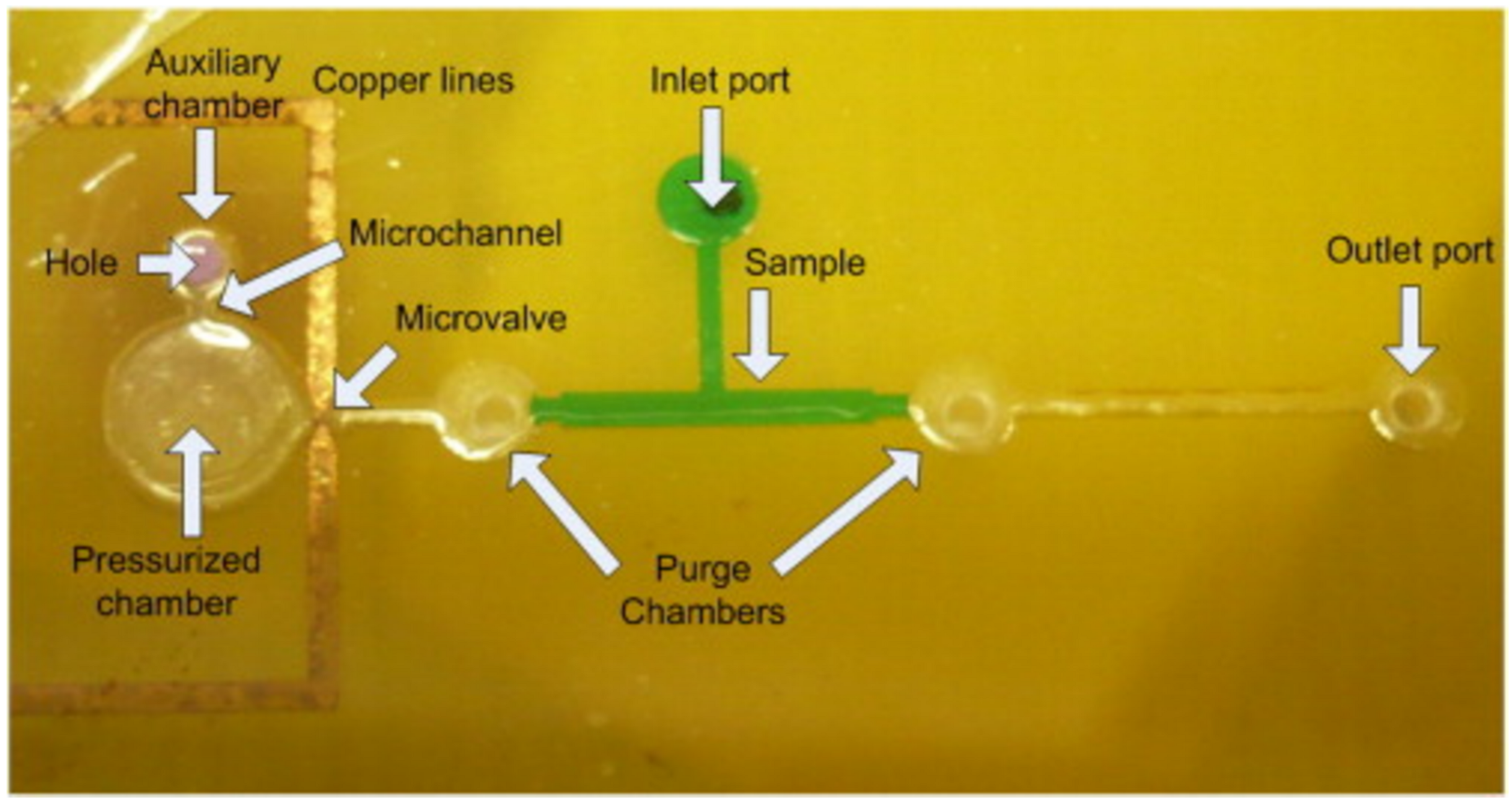 Micromachines 12 00175 g006