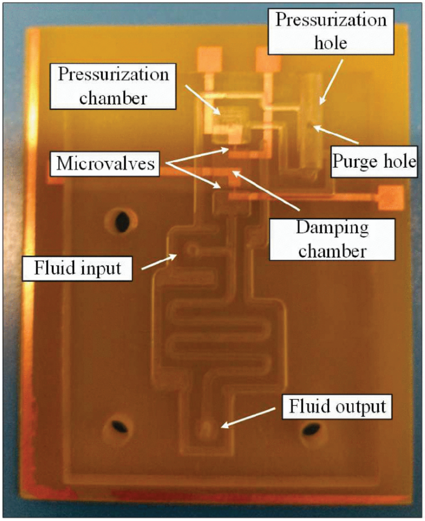 Micromachines 12 00175 g007