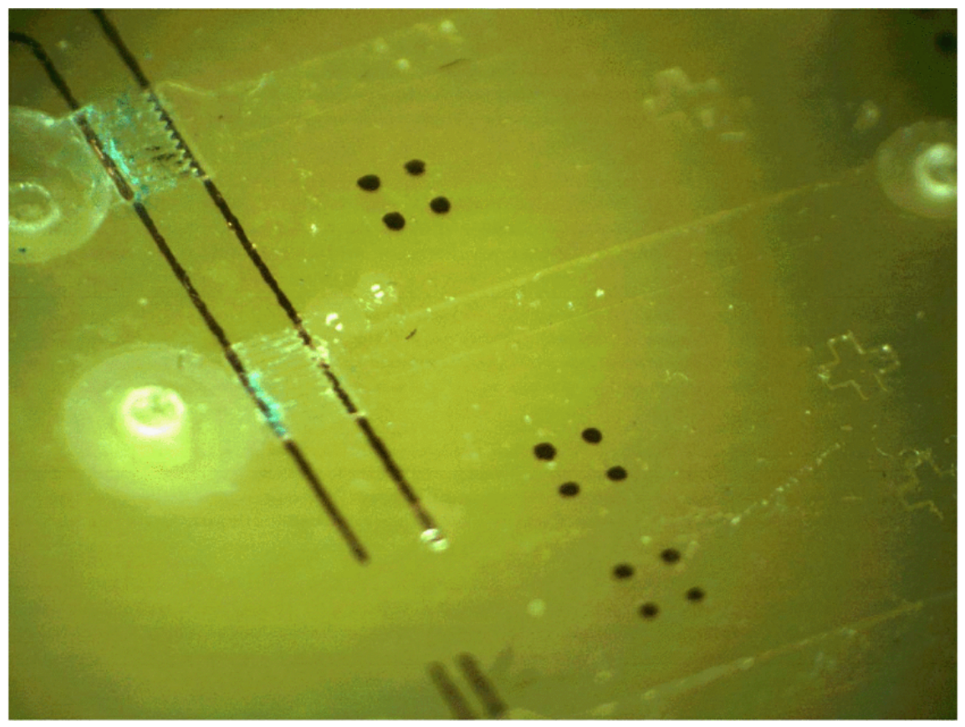 Micromachines 12 00175 g010