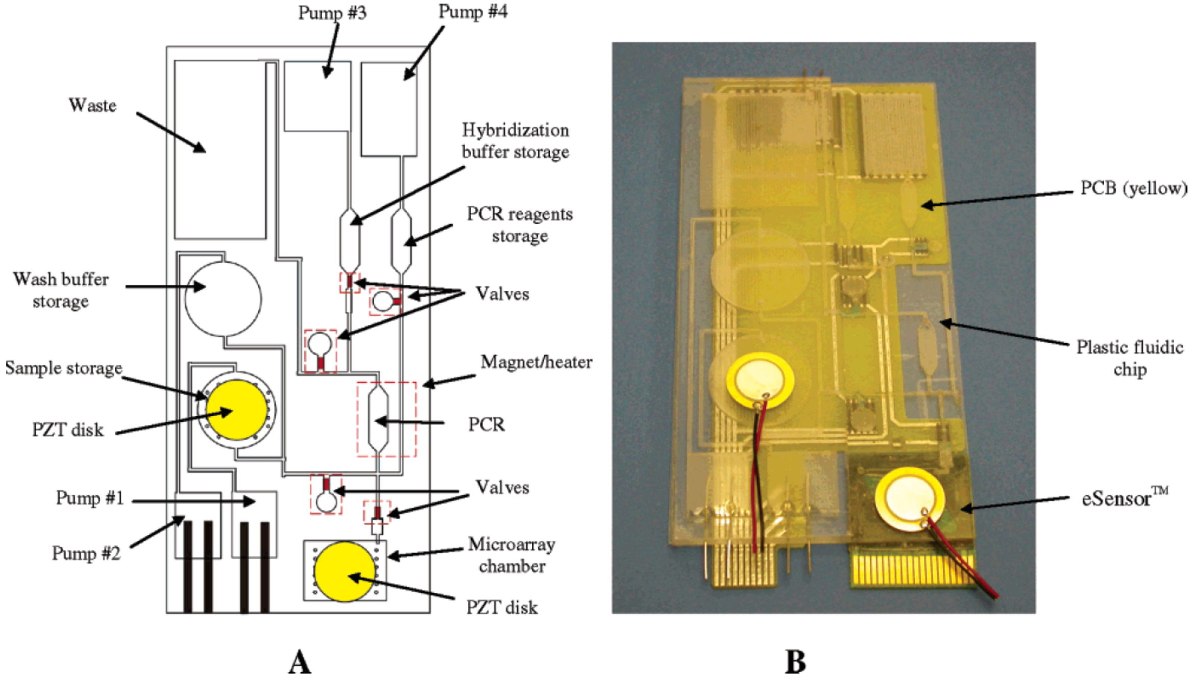 Micromachines 12 00175 g013