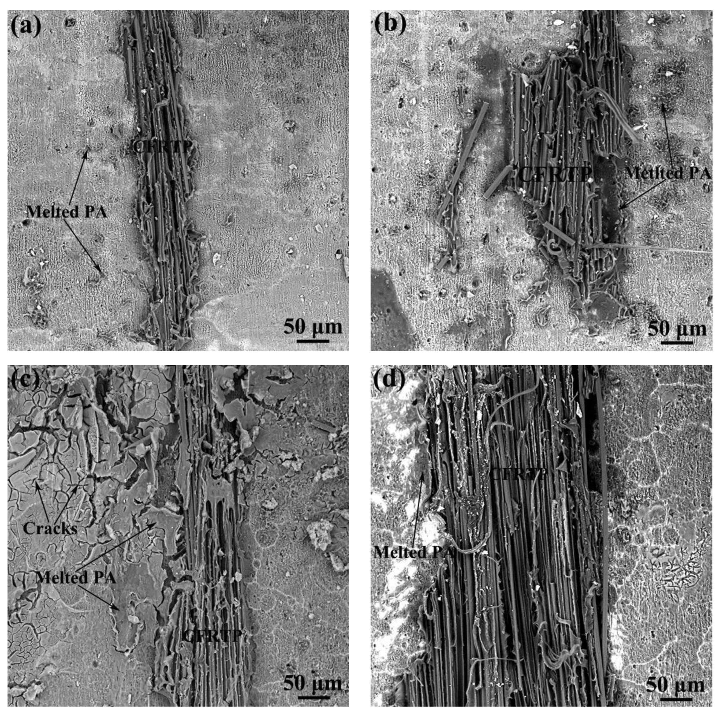Micromachines 12 00179 g010