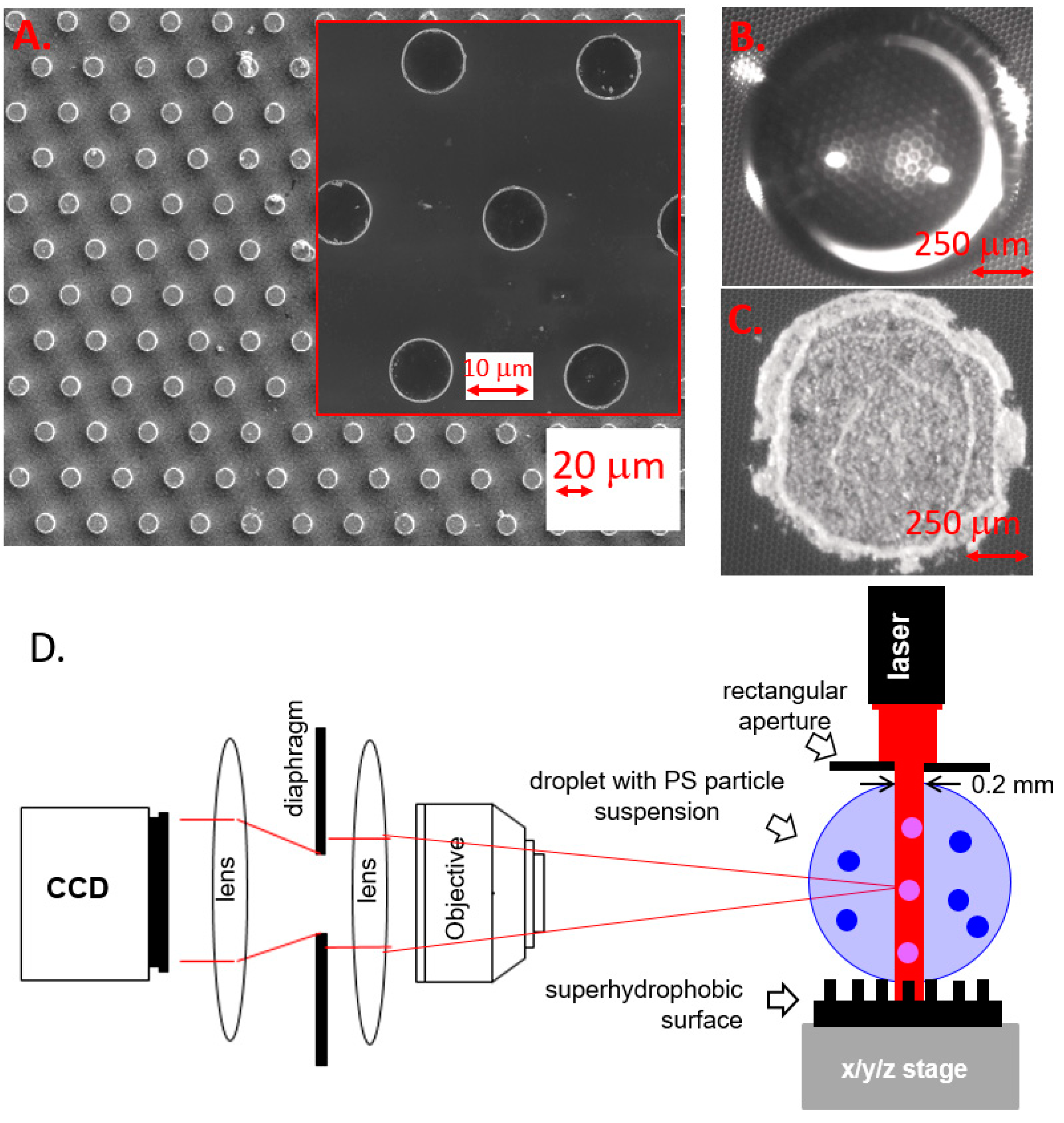 Micromachines 12 00185 g001