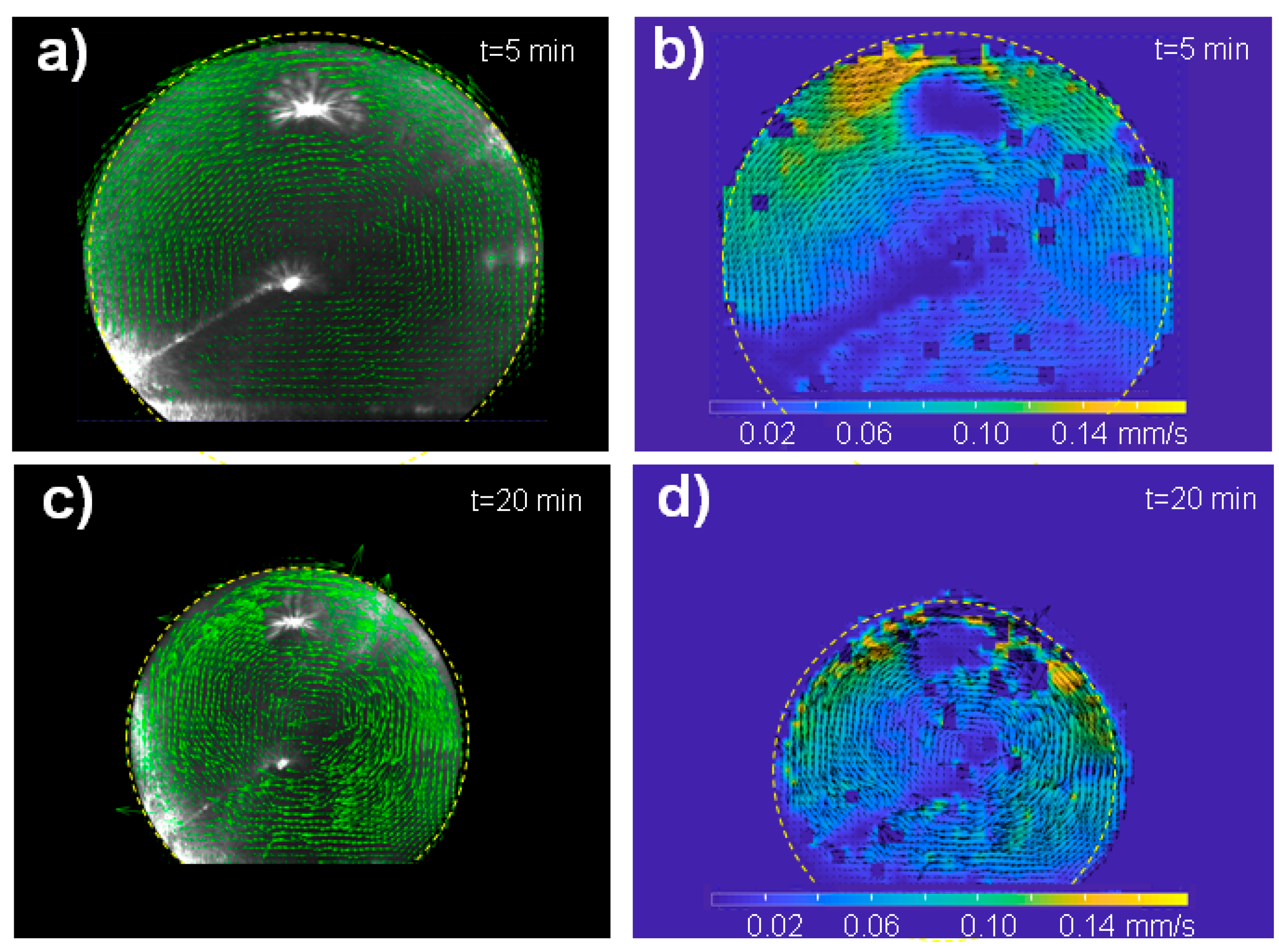 Micromachines 12 00185 g002
