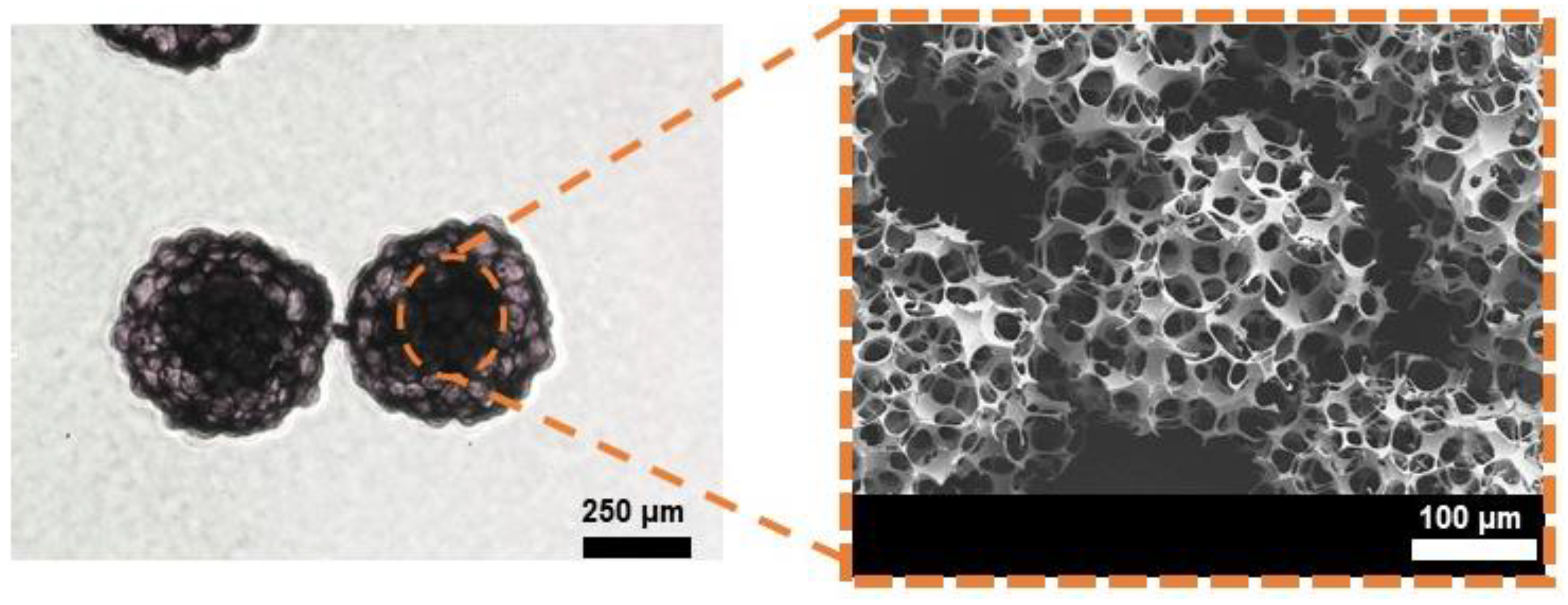 Micromachines 12 00192 g006