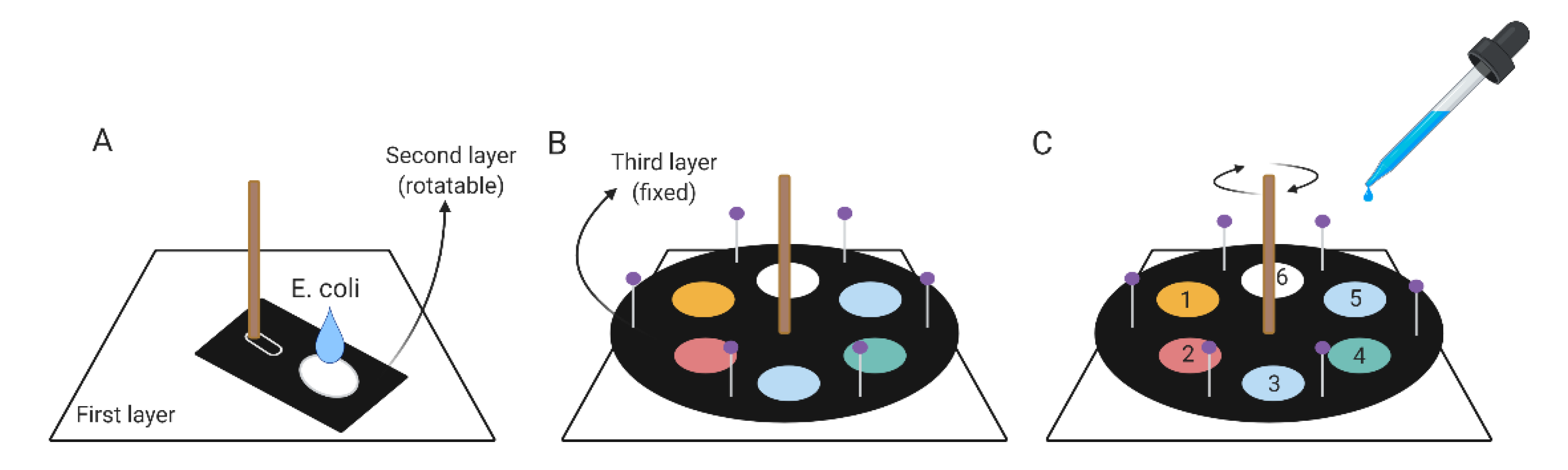 Micromachines 12 00194 g002