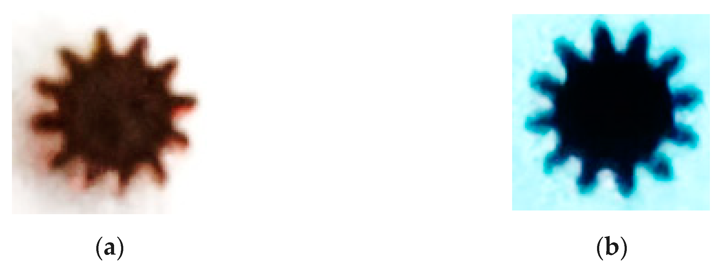 Micromachines 12 00200 g011