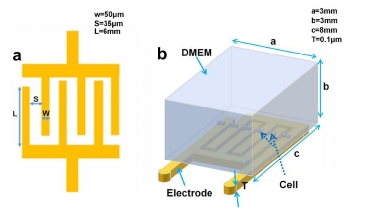 Micromachines 12 00202 g002