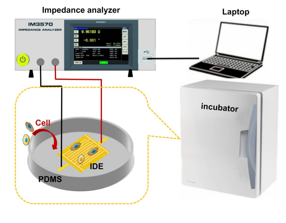 Micromachines 12 00202 g003