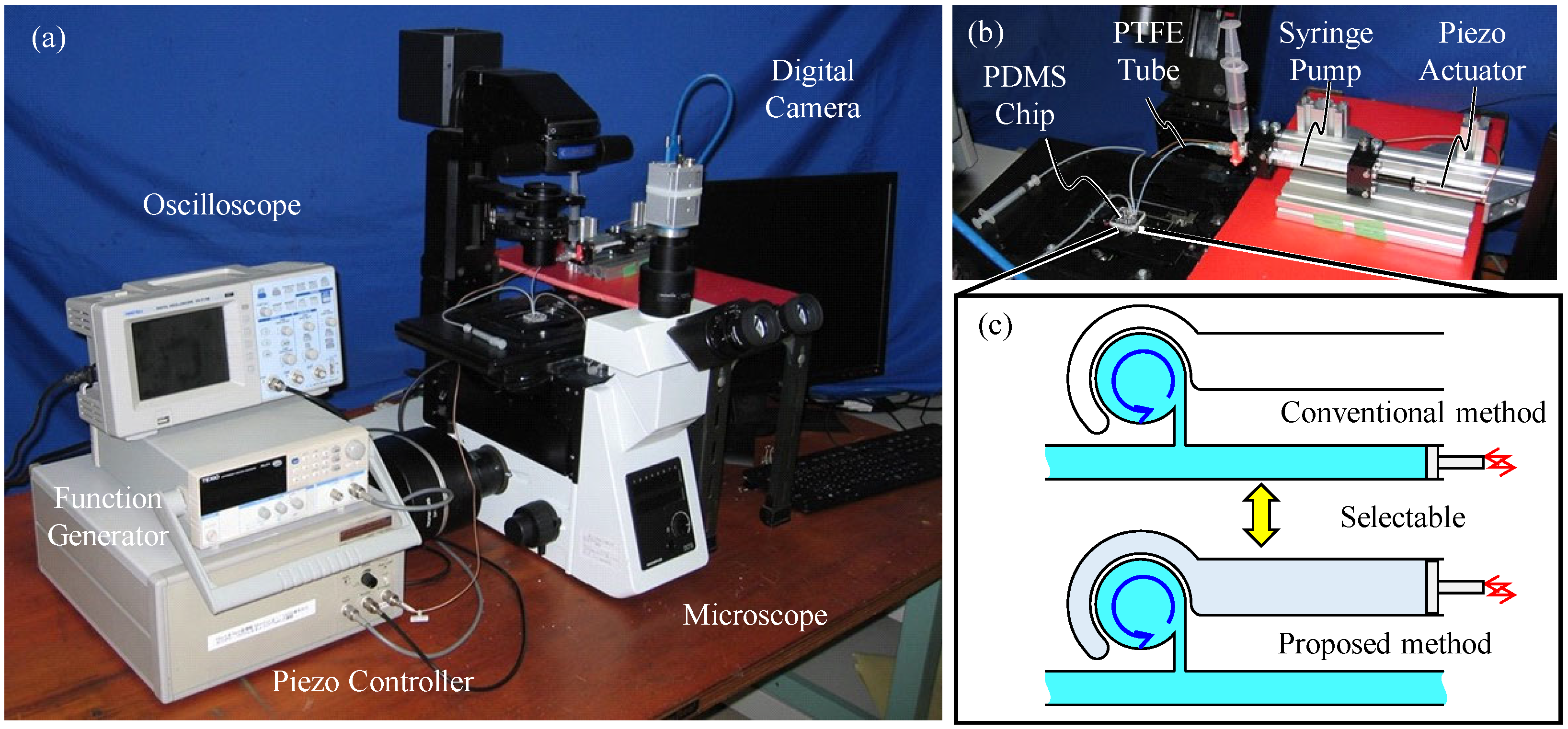Micromachines 12 00217 g003