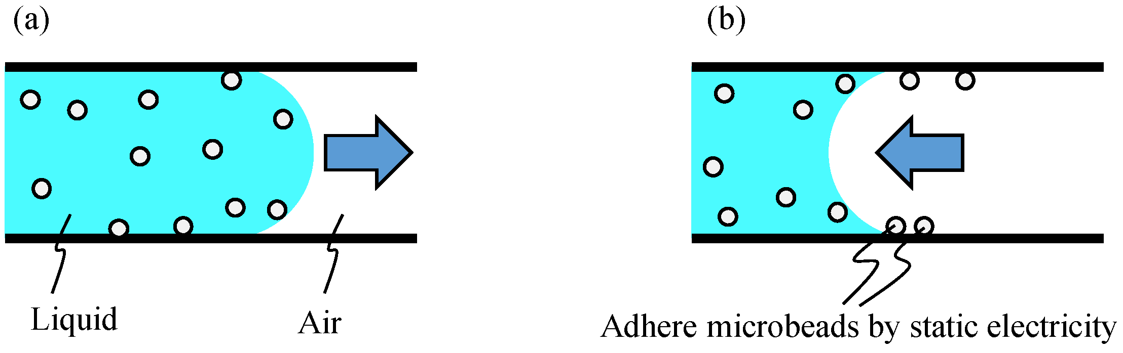 Micromachines 12 00217 g0a2