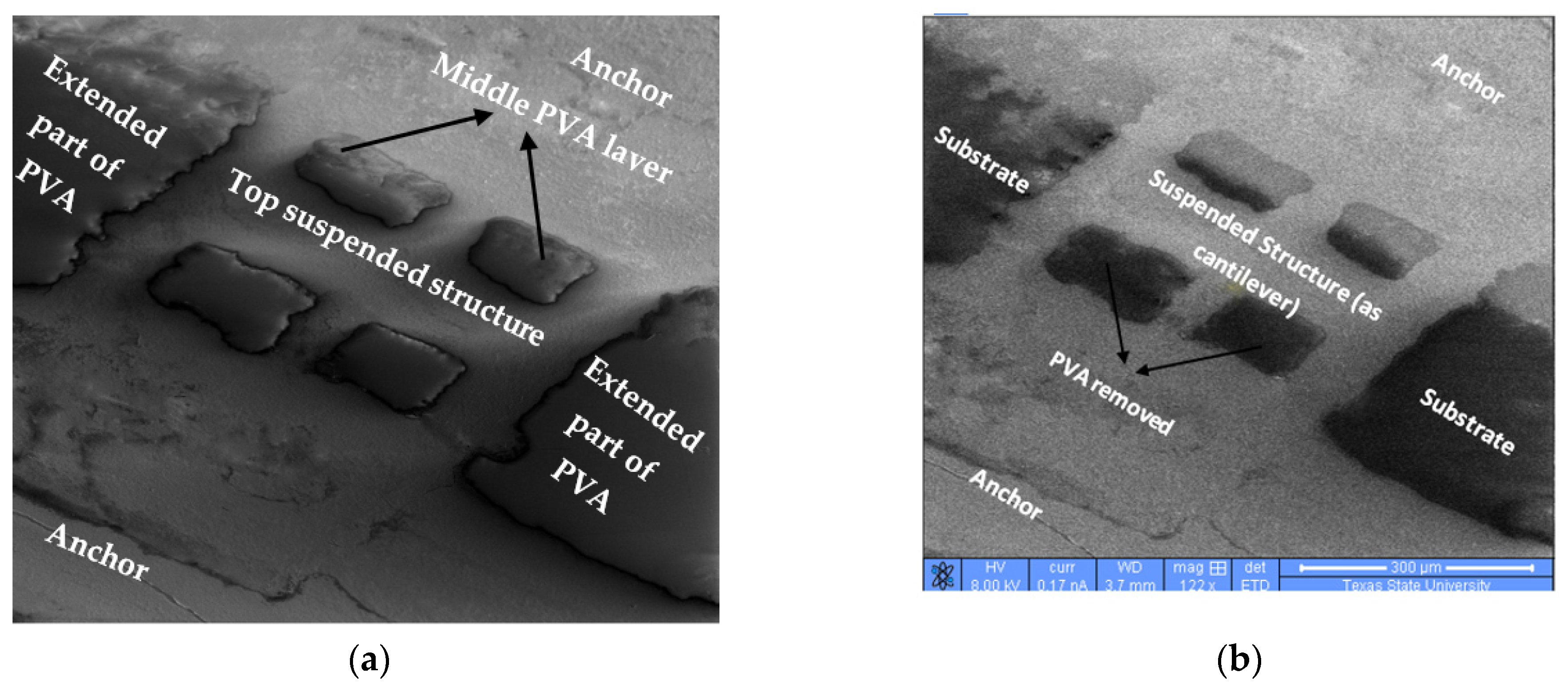 Micromachines 12 00220 g012