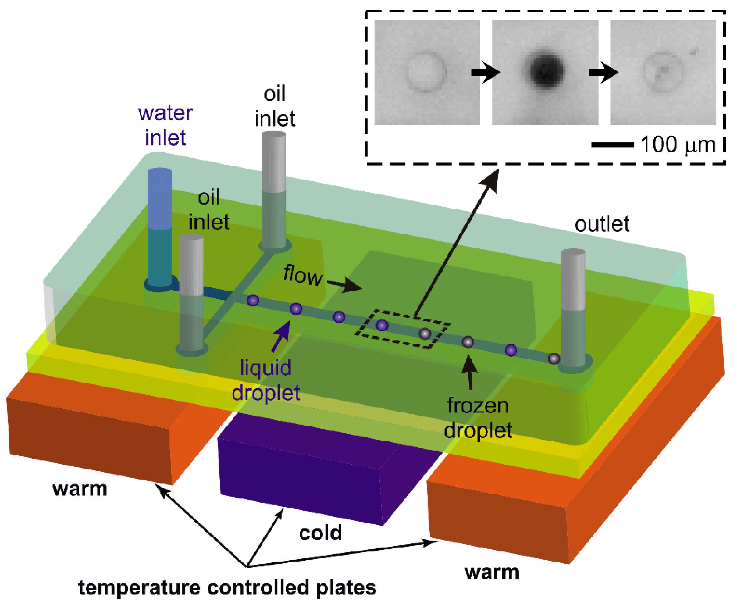Micromachines 12 00223 g001