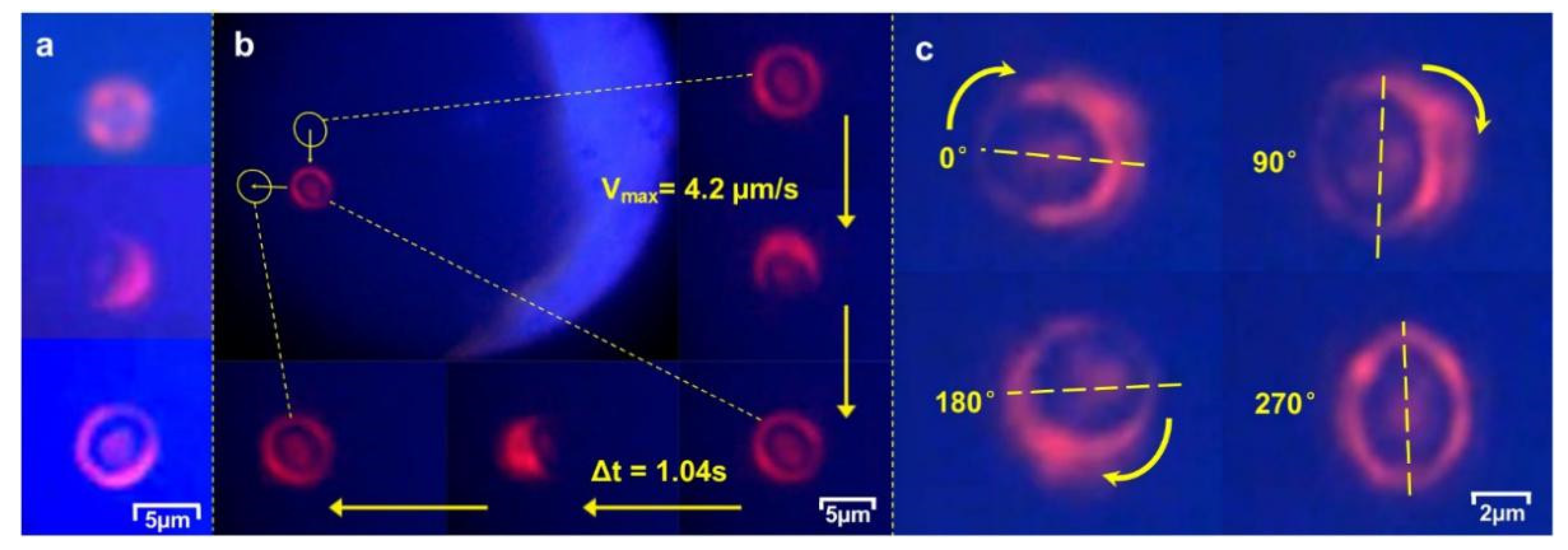 Micromachines 12 00226 g007