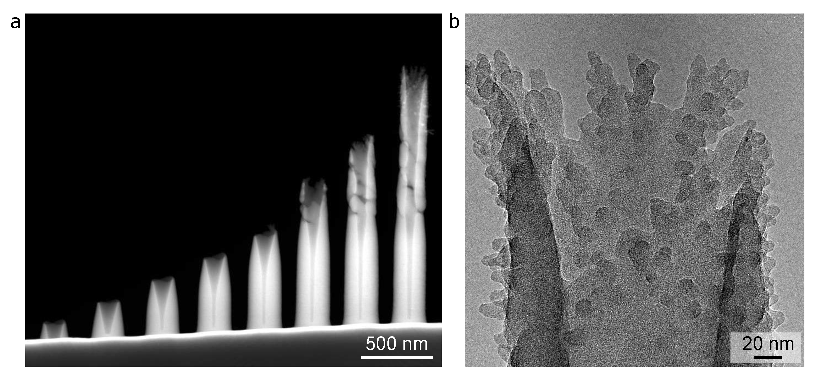 Micromachines 12 00232 g003 Micromachines 12 00232 g003