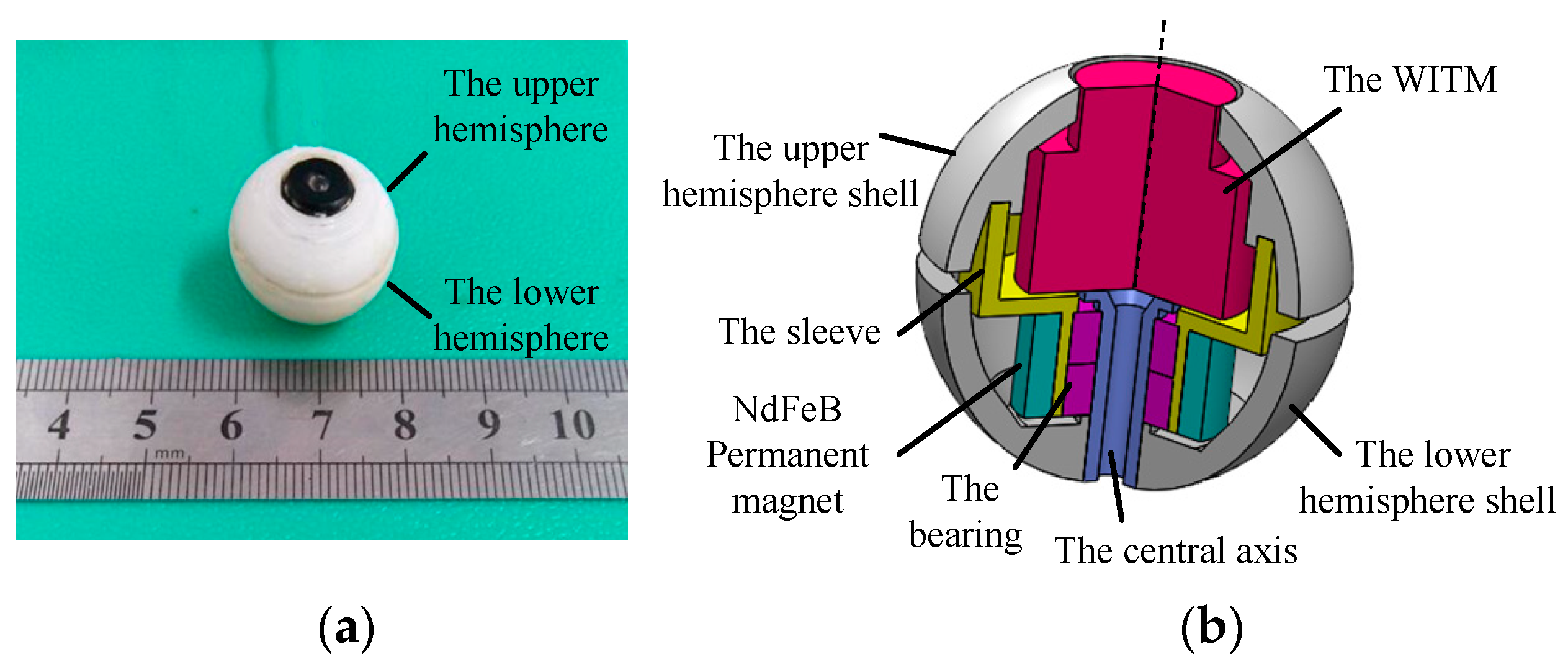 Micromachines 12 00238 g001
