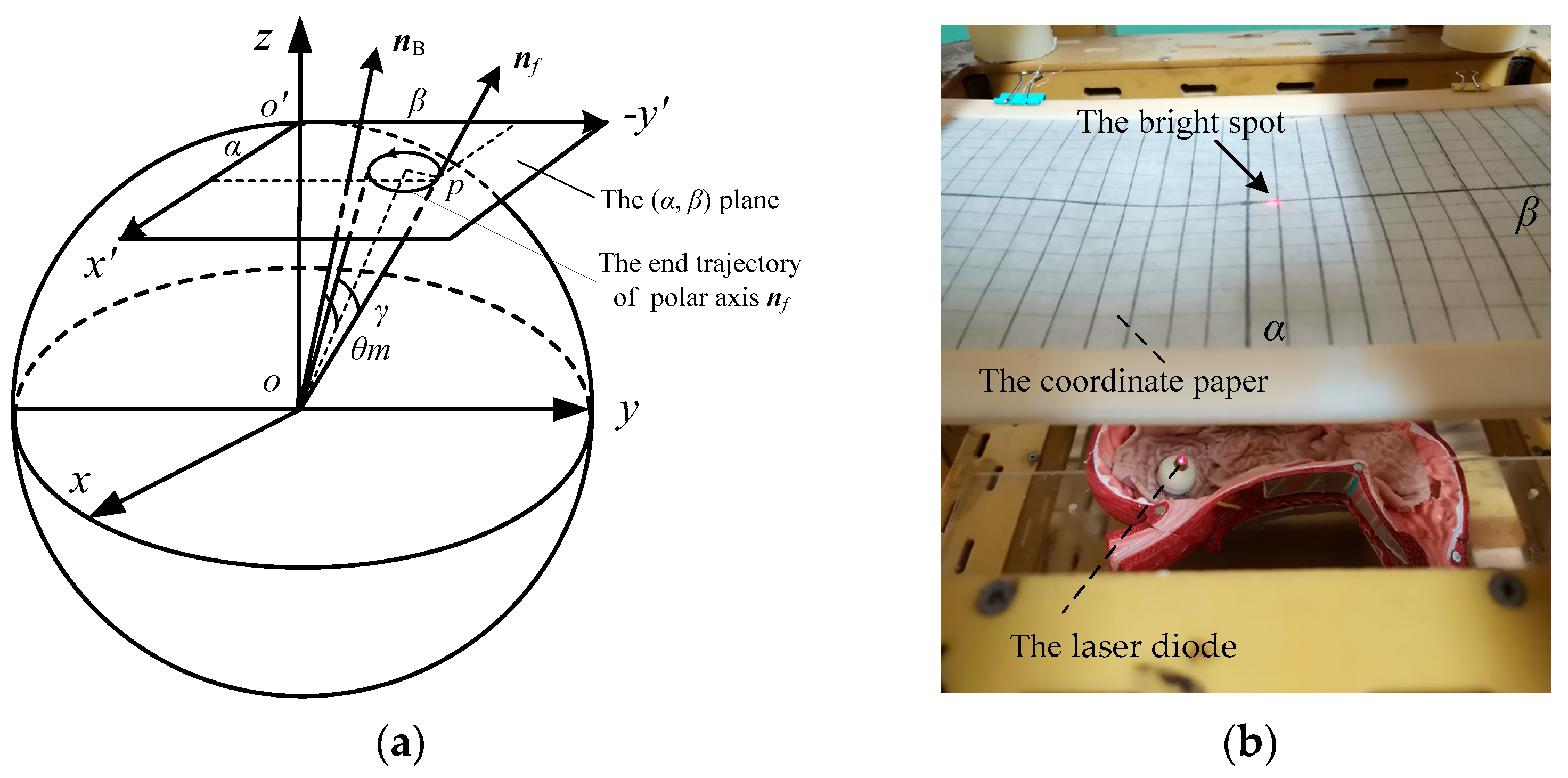 Micromachines 12 00238 g016