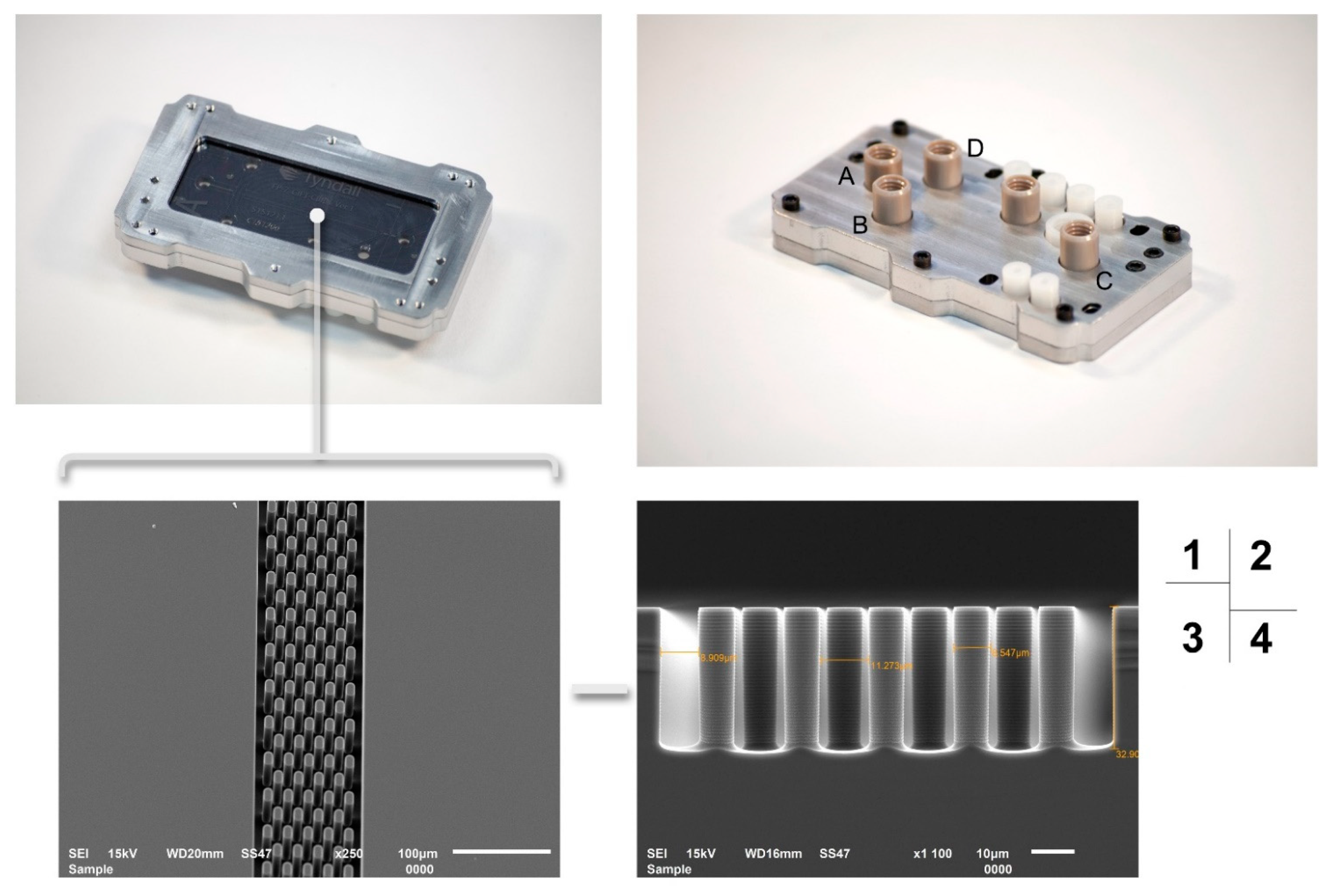Micromachines 12 00239 g004