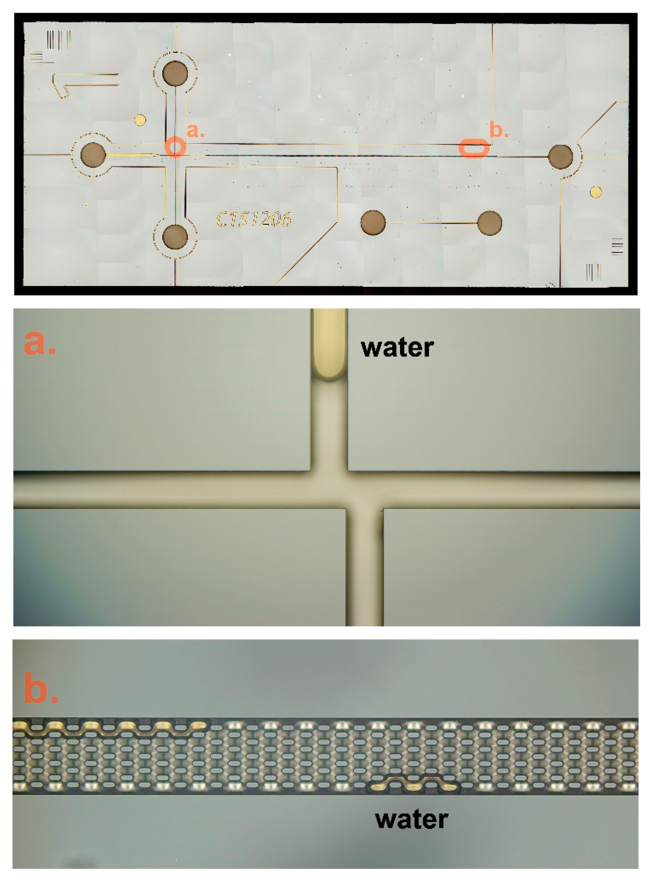 Micromachines 12 00239 g006