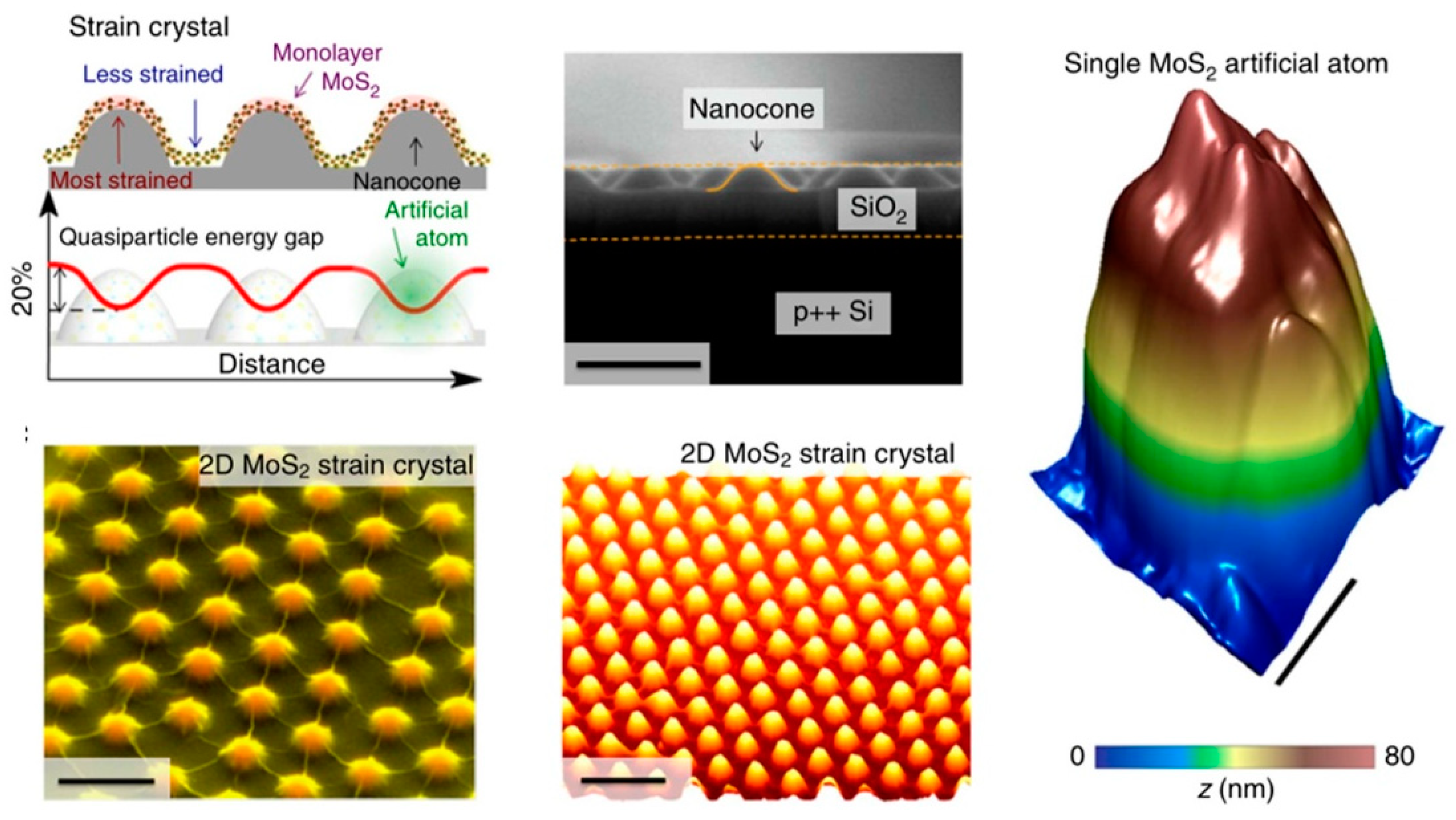 Micromachines 12 00240 g010