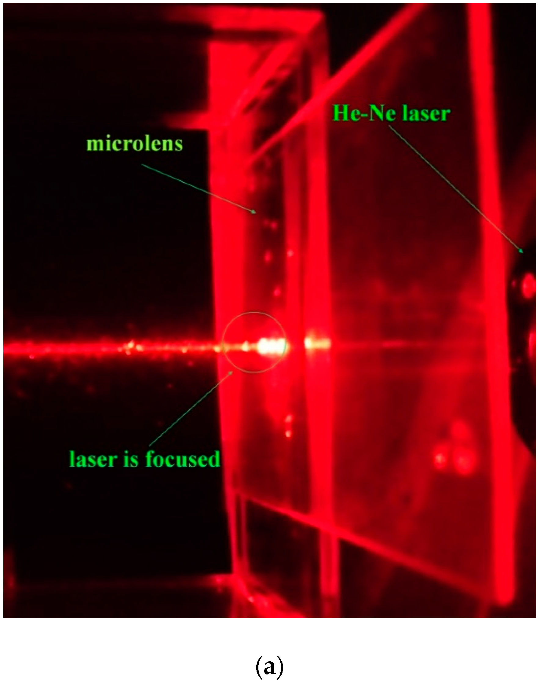 Micromachines 12 00244 g010a