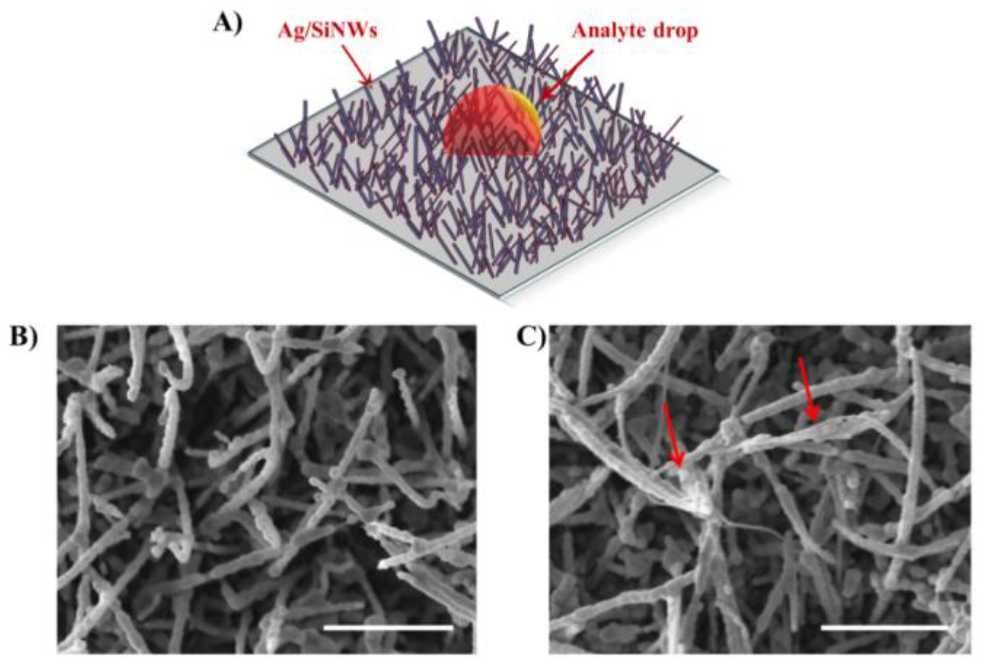 Micromachines 12 00264 g001