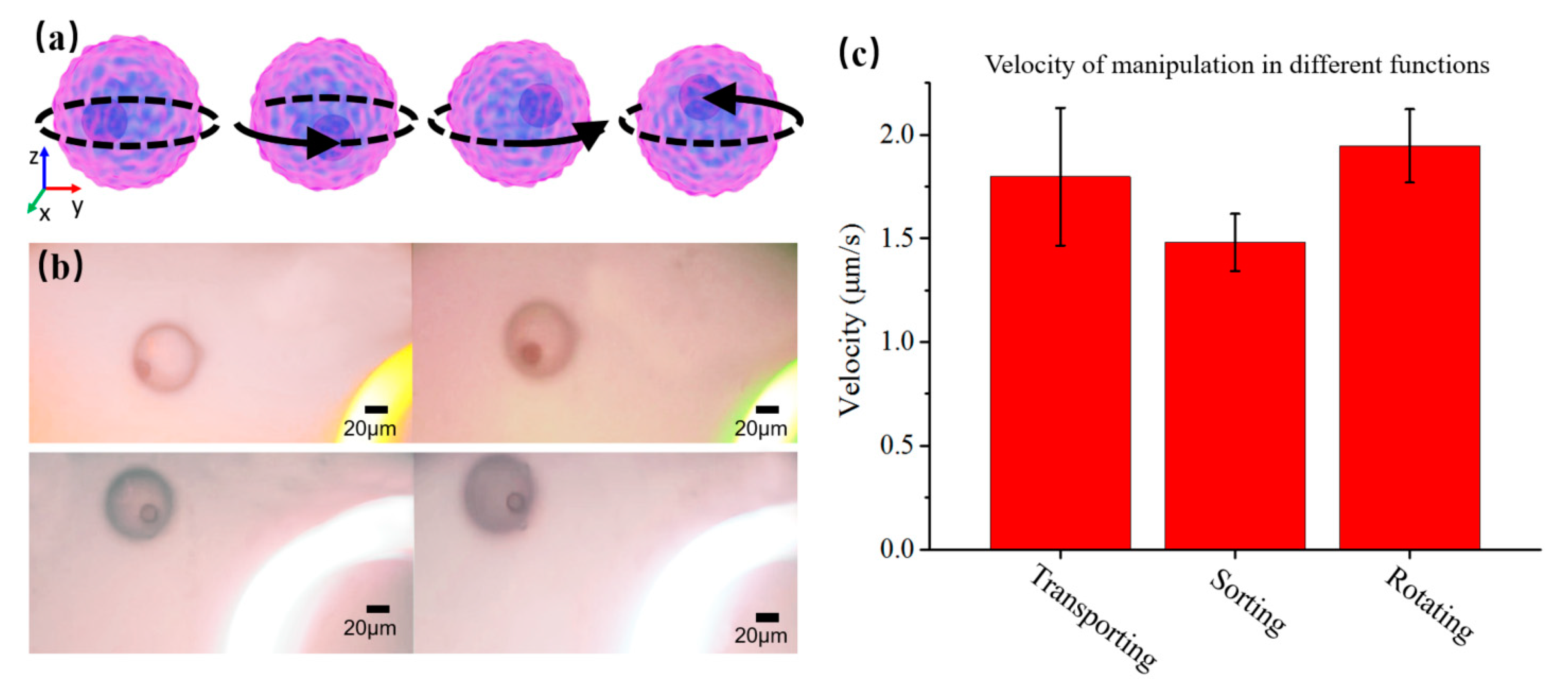 Micromachines 12 00271 g012
