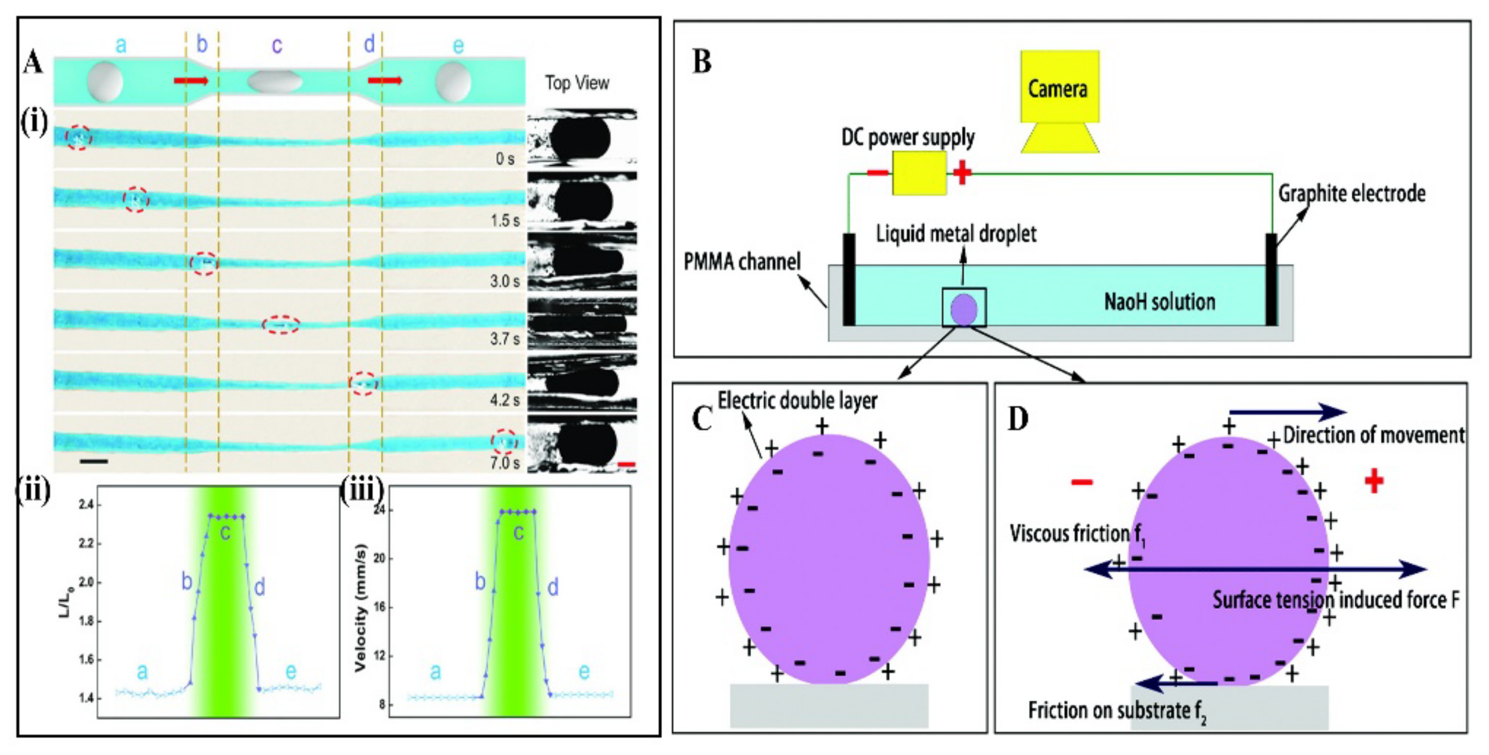 Micromachines 12 00280 g012