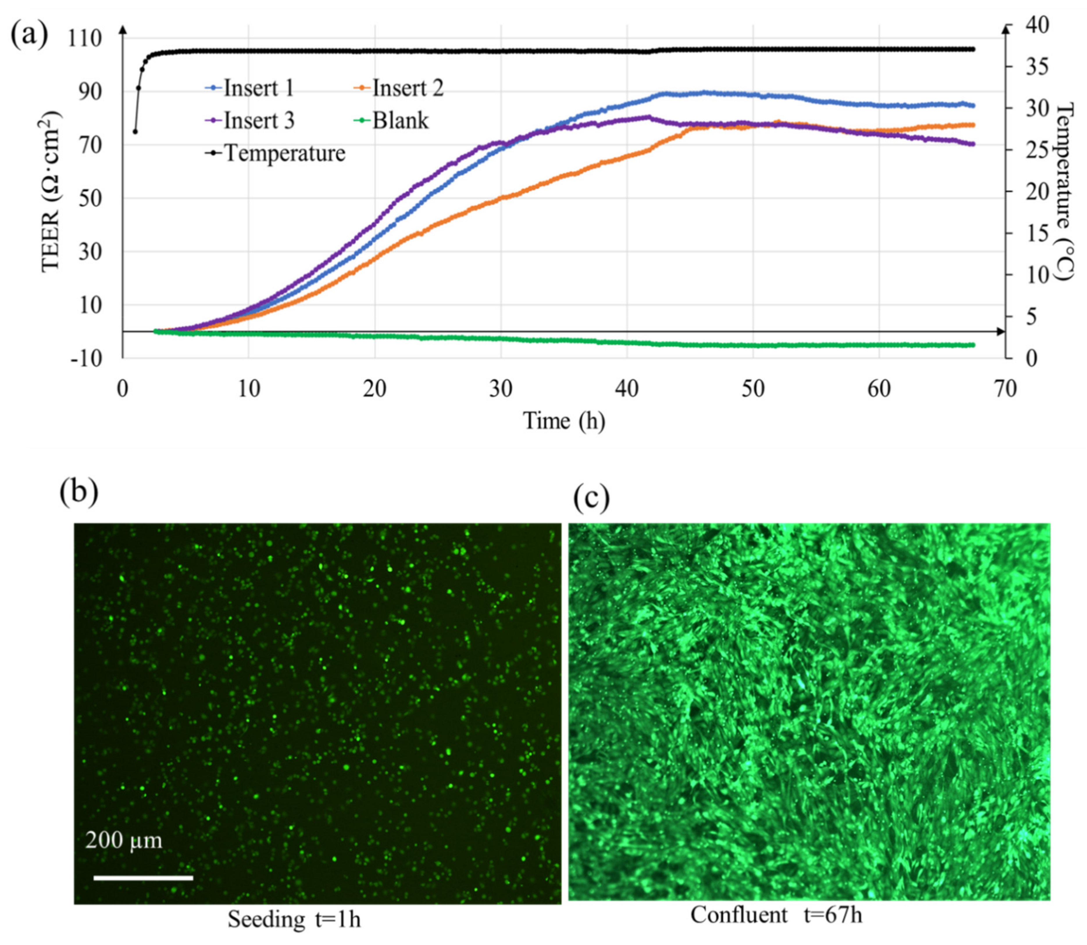 Micromachines 12 00282 g004 Micromachines 12 00282 g004