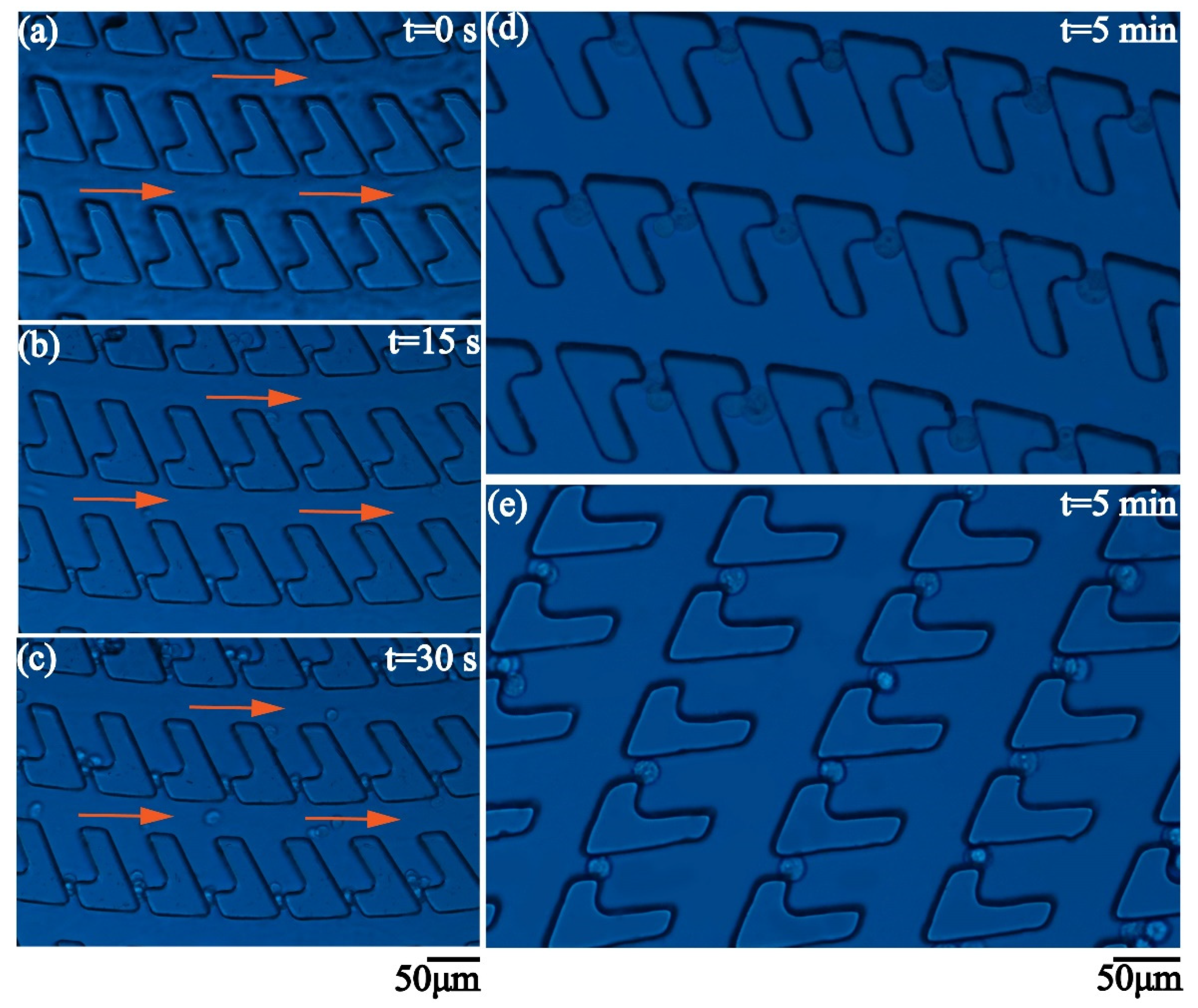 Micromachines 12 00288 g007