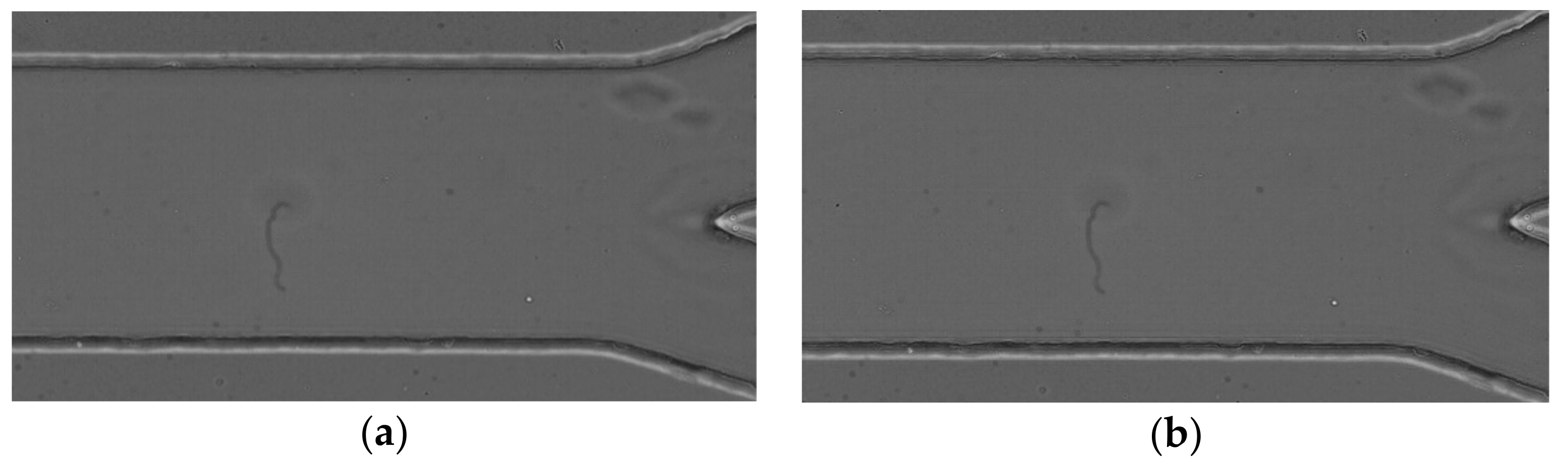 Micromachines 12 00317 g010