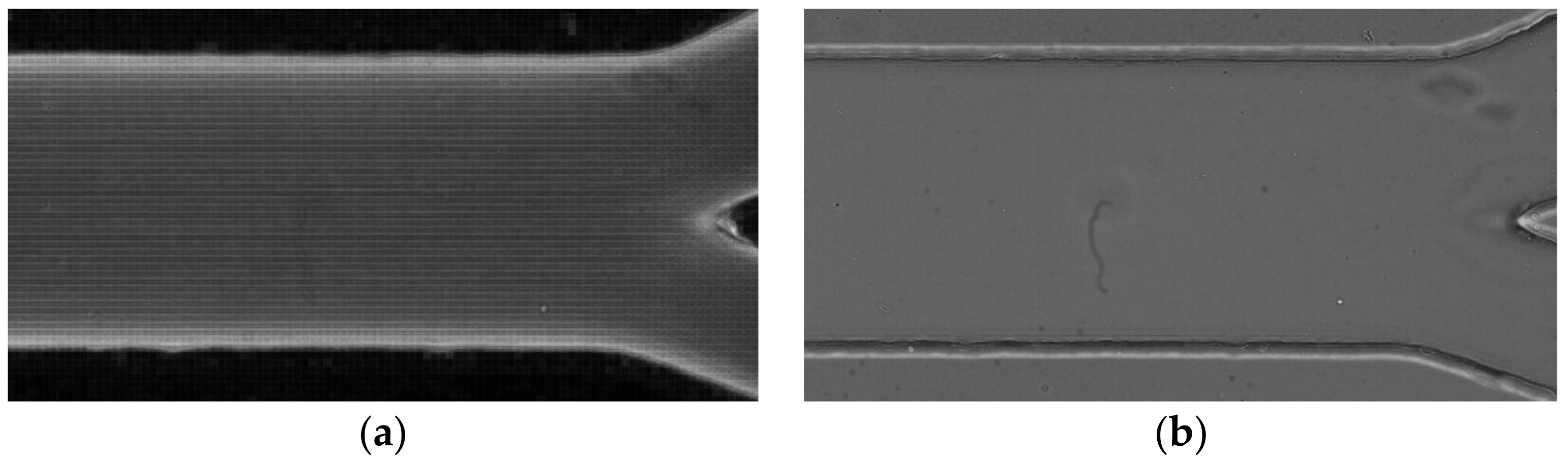 Micromachines 12 00317 g011