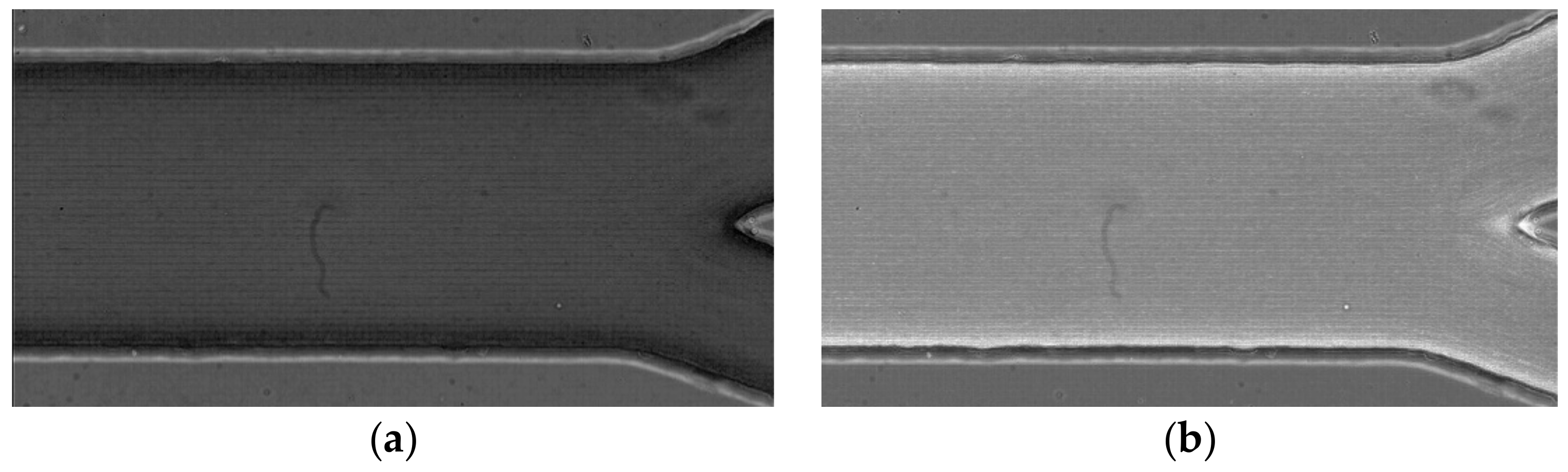 Micromachines 12 00317 g012