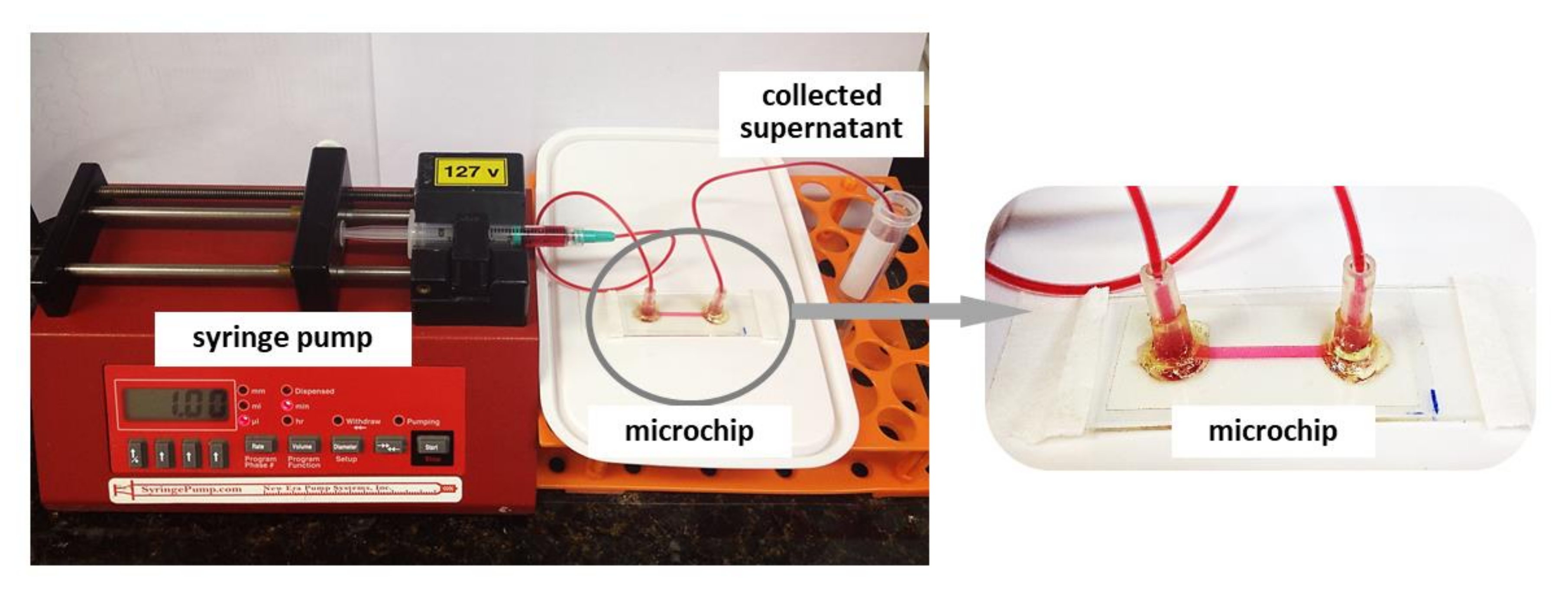 Rapid Fabrication of Microfluidic Devices for Biological Mimicking: A ...