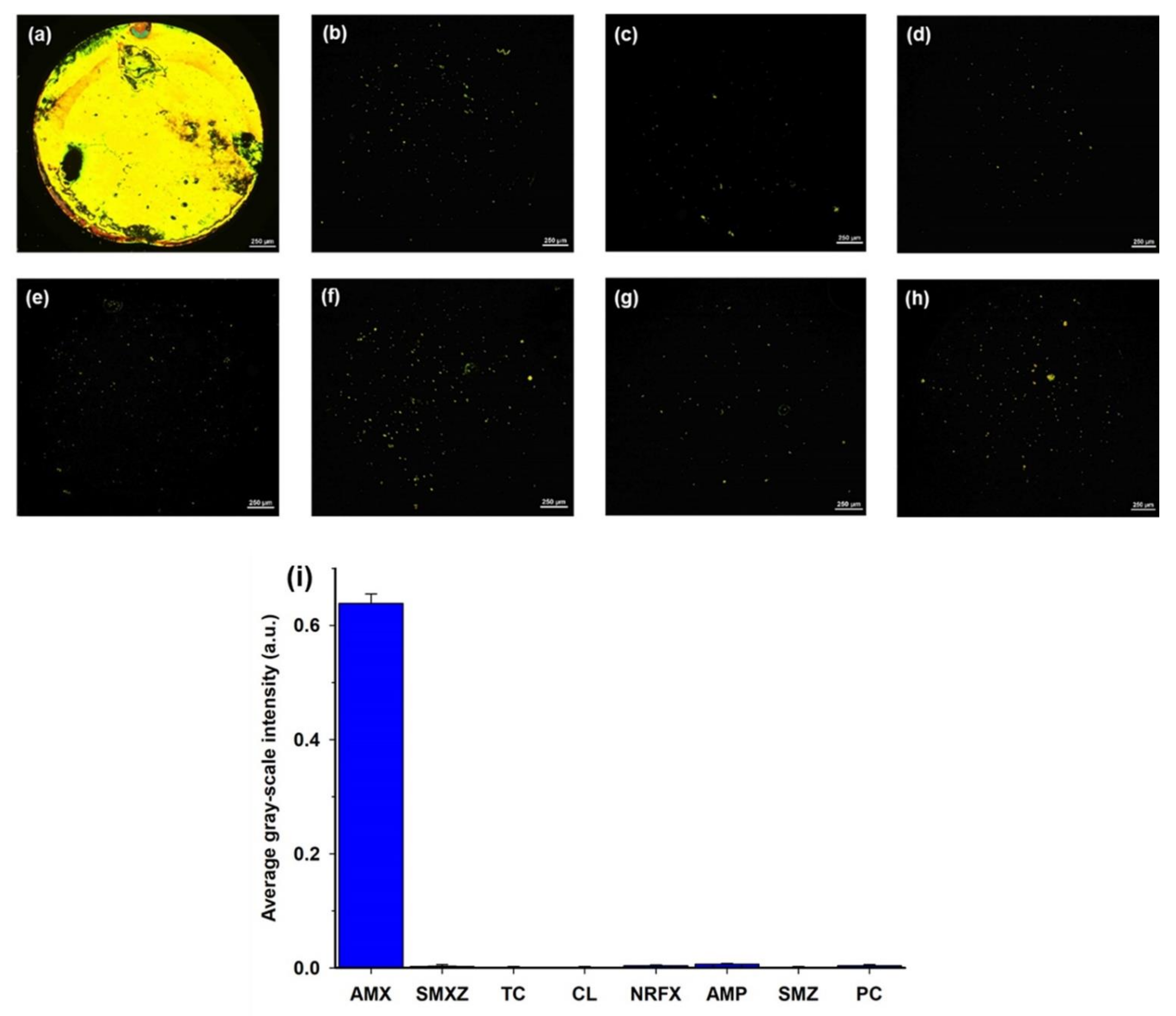 Micromachines 12 00370 g006