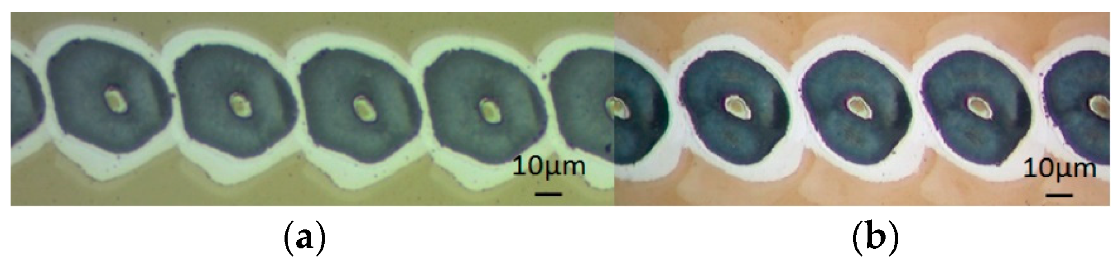 Micromachines 12 00376 g005