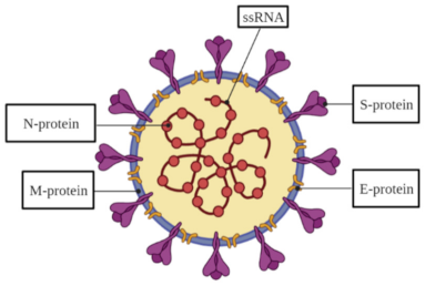 Micromachines 12 00390 i001 Micromachines 12 00390 i001