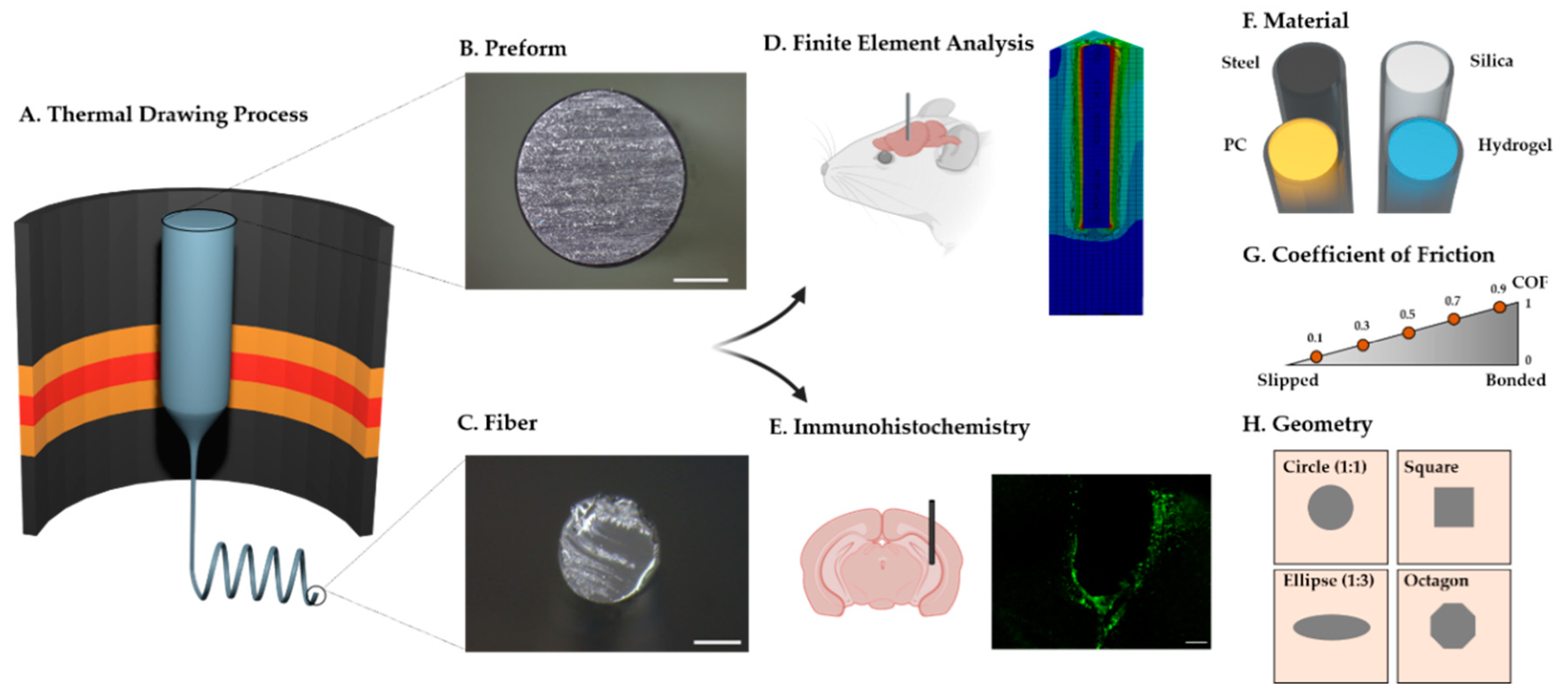 Micromachines 12 00394 g001