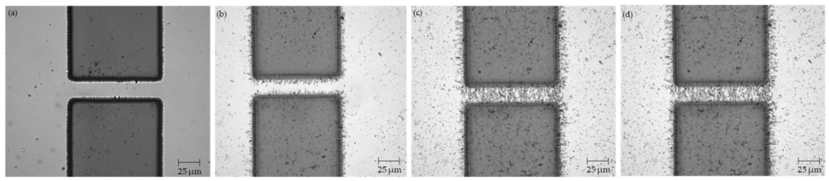 Micromachines 12 00405 g002