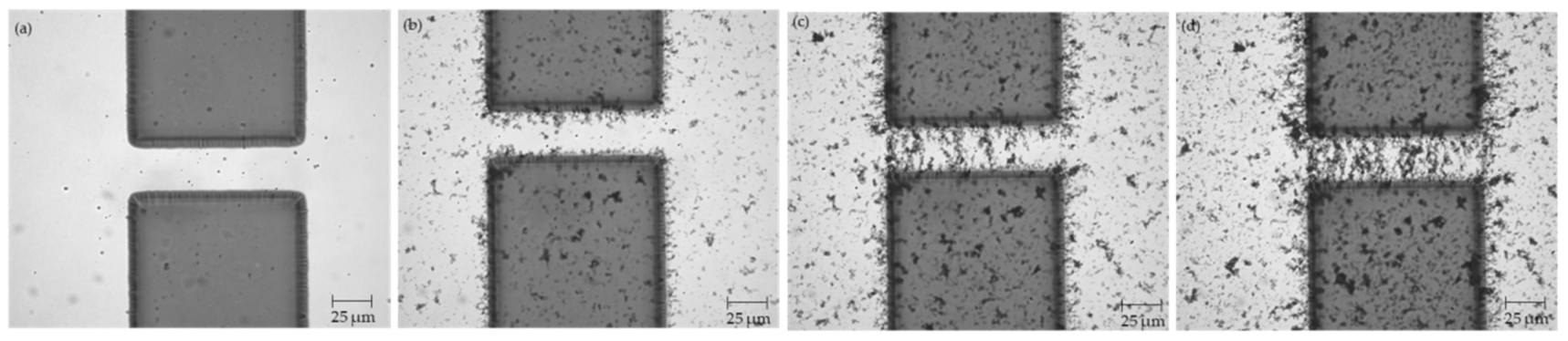 Micromachines 12 00405 g003