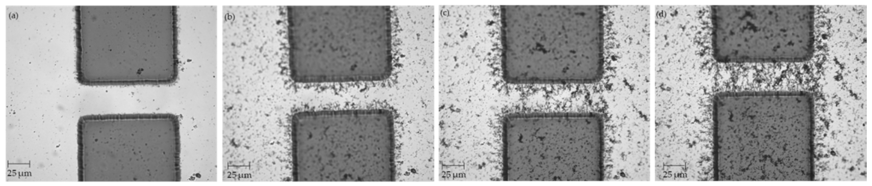 Micromachines 12 00405 g004