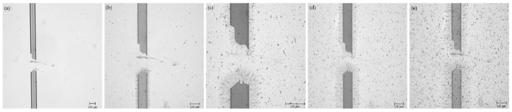 Micromachines 12 00405 g008