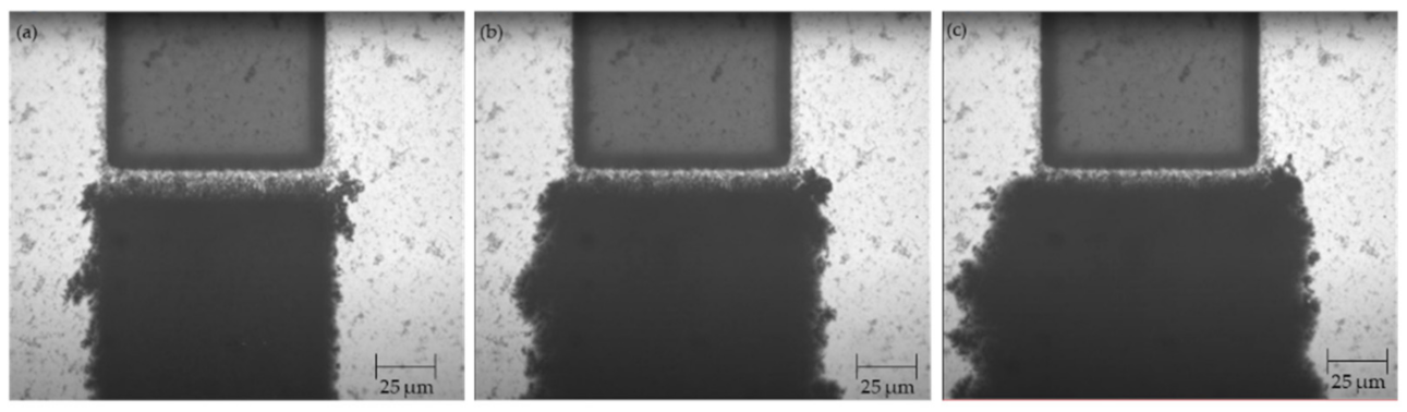 Micromachines 12 00405 g009