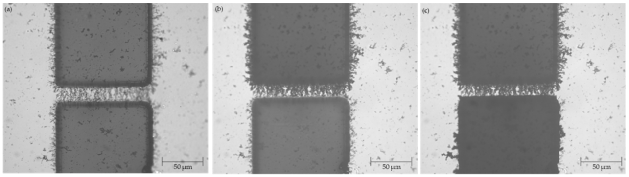 Micromachines 12 00405 g010