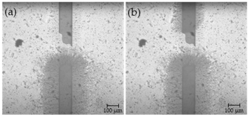 Micromachines 12 00405 g011
