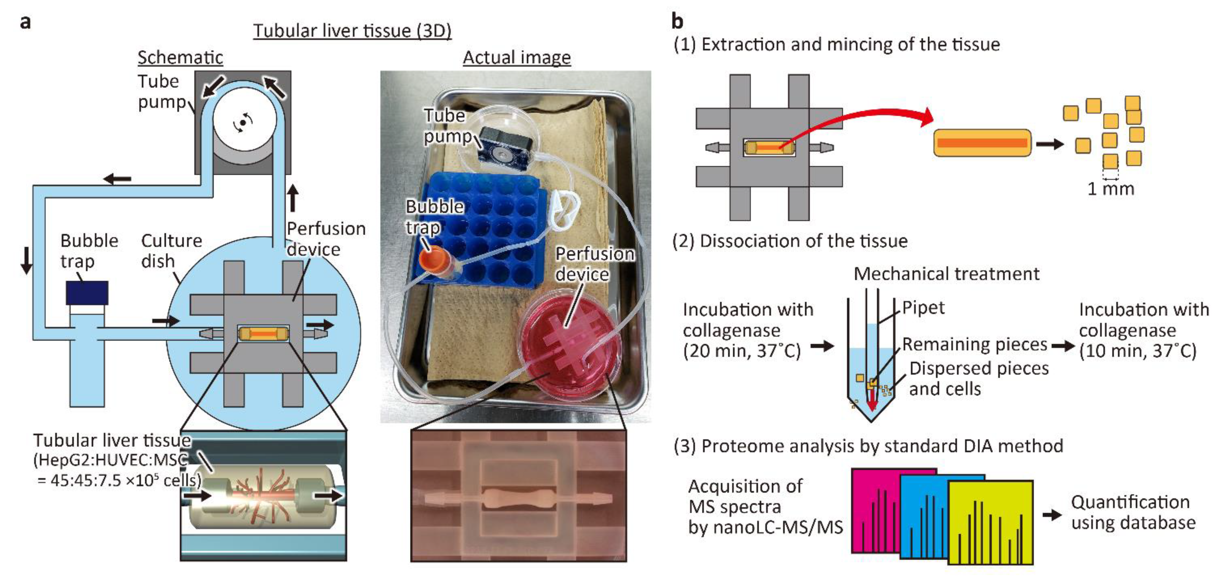 Micromachines 12 00418 g001