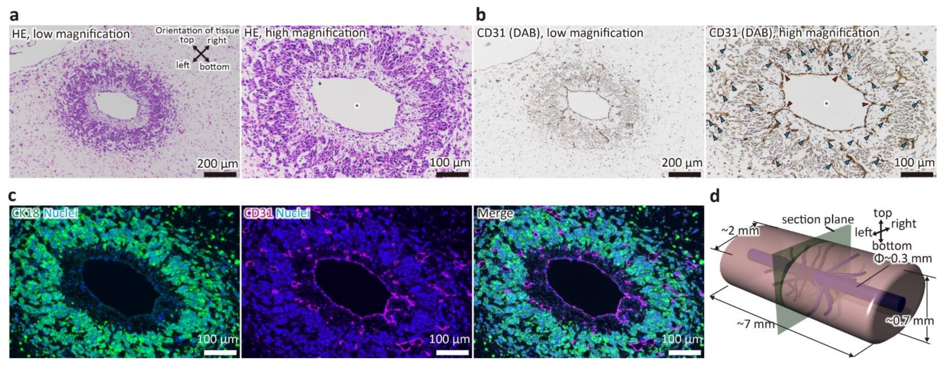 Micromachines 12 00418 g002