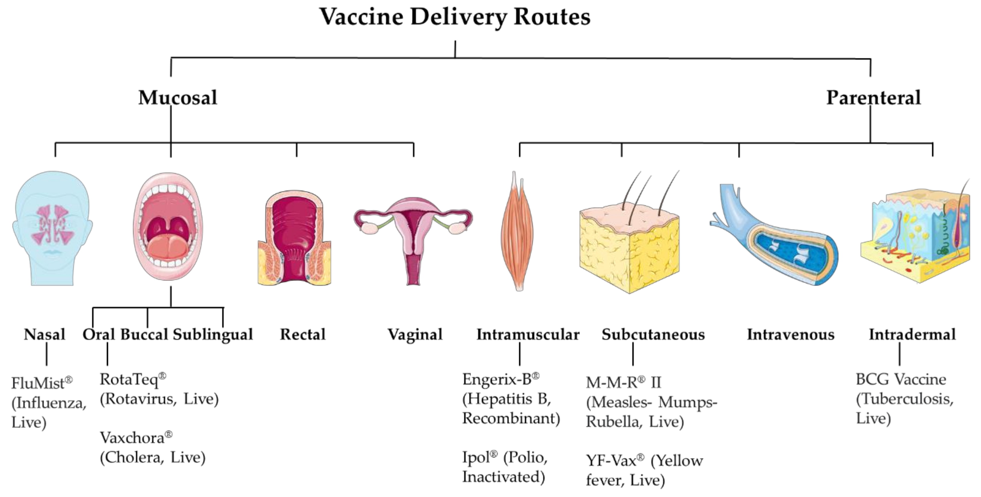 Micromachines 12 00435 g001