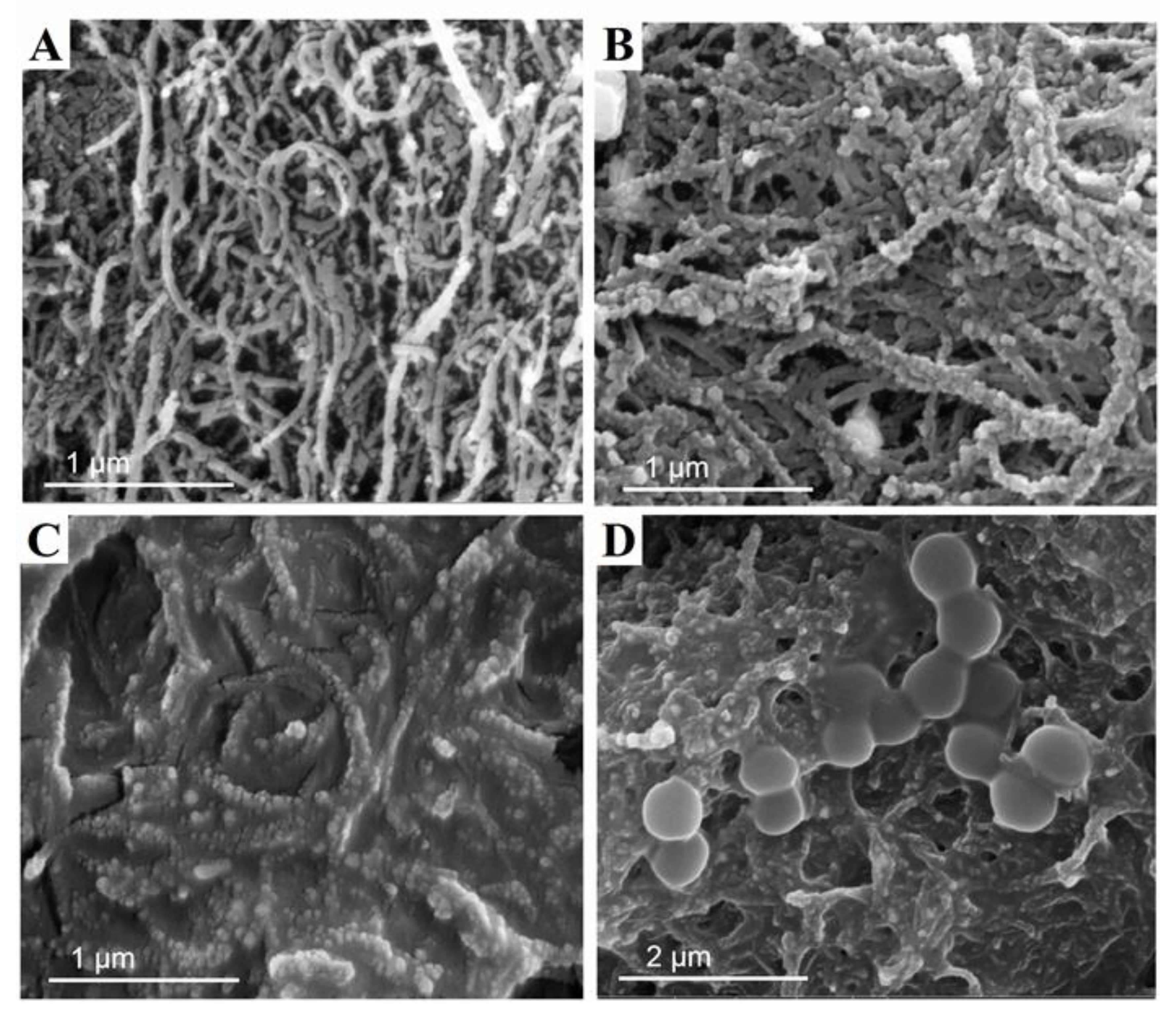 Micromachines 12 00446 g002